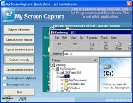 My Screen Capture ActiveX screenshot